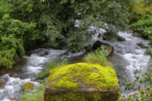 Nilakandi Falls, Coorg