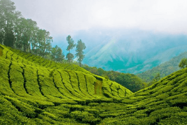 valley of Theni