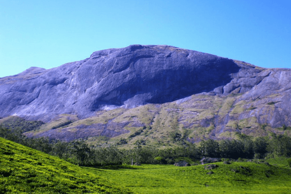 Anamudi Peak, Places to visit in Munnar