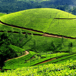 Ladakh for photographers