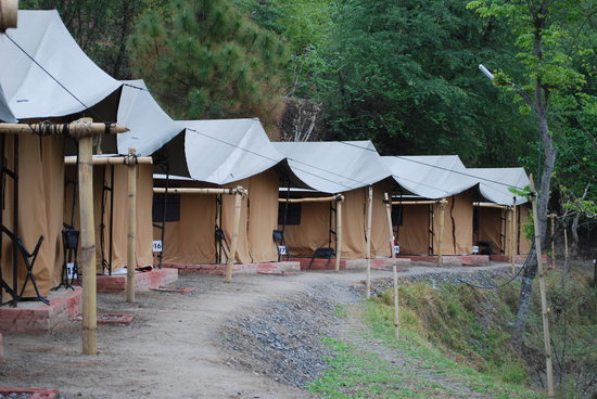 Camp Chrysalid, Shimla