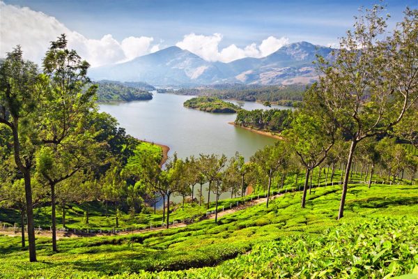 Photo Point, Munnar