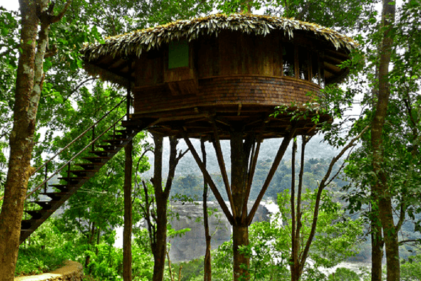 Rainforest Resort, Athirapally Rainforest Resort, Athirapally