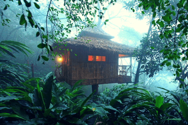 Vanya Treehouse, Thekkady Vanya Treehouse, Thekkady