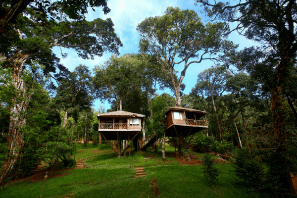 Nature Zone Resort, Munnar Nature Zone Resort, Amongst Best Tree House Resorts