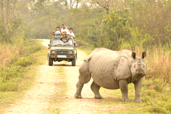 Adventures in the North East