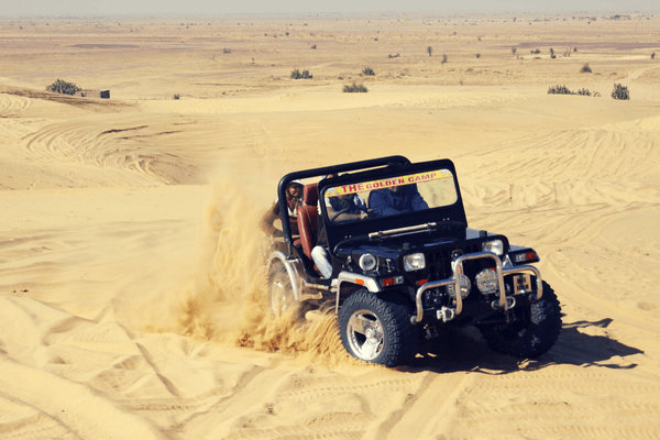 Jeep safaris, Golden Triangle Tour