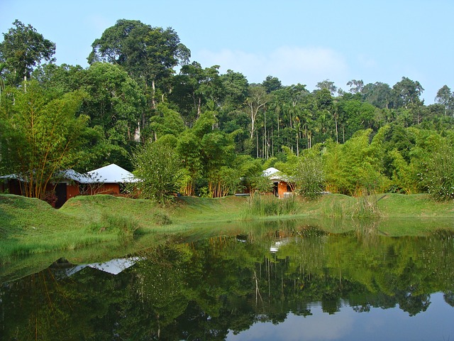 Coorg, New Year Destination in India