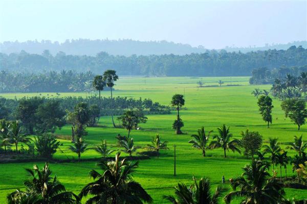 Palakkad, Kerala