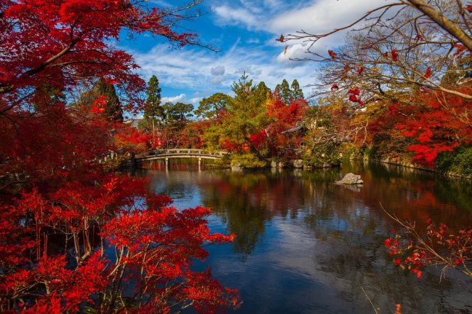 Kyoto, Japan