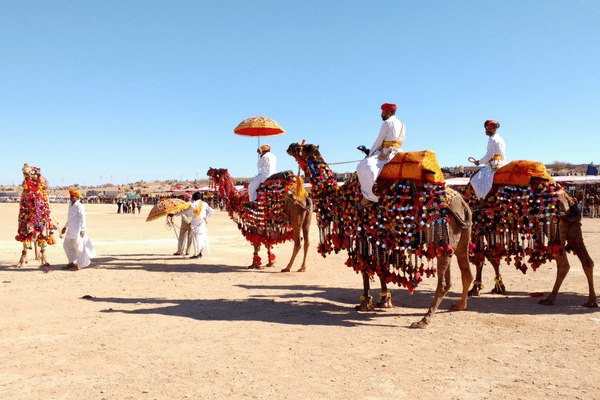 Dessert Festival, Rajasthan