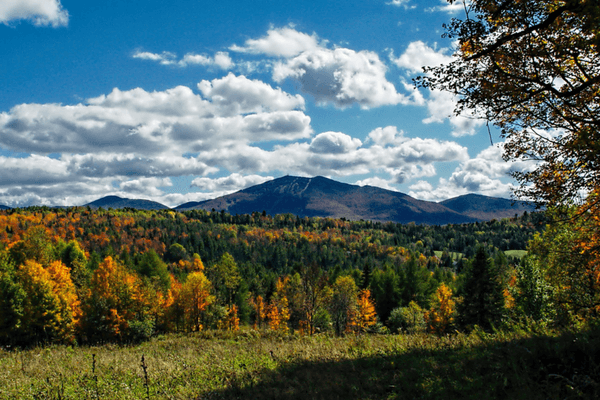 Beautiful view, North East India