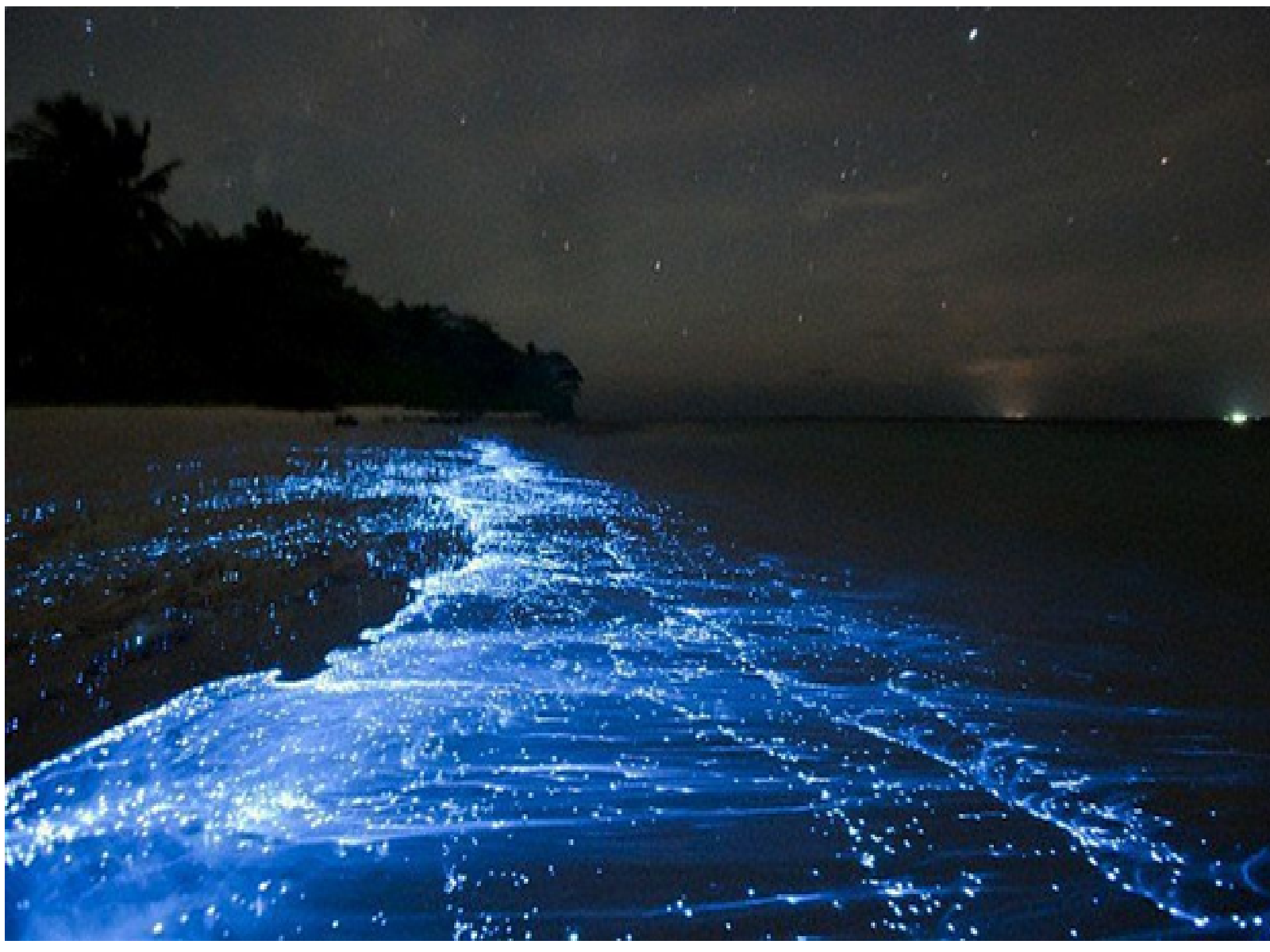 The Sea of Stars, Maldives