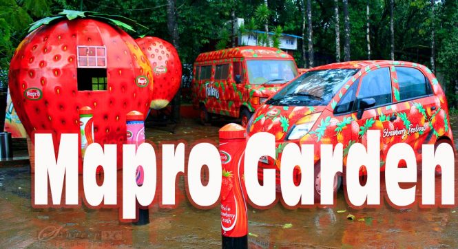 Mapro Garden - Places to Visit in Mahabaleshwar 