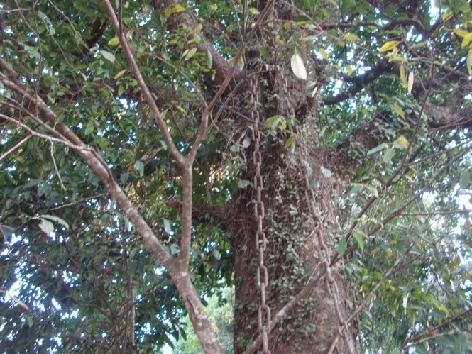  Wayanad Tourist Places 