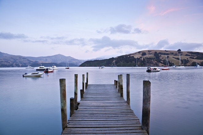 Day Trip to Akaroa - 12 Most Exciting Things to do in New Zealand
