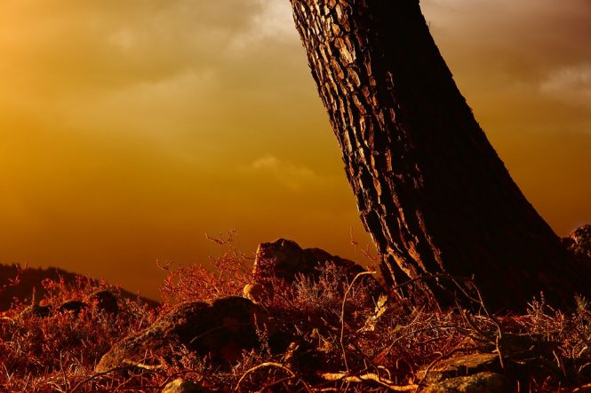 Summer in France - Best Time to Visit France