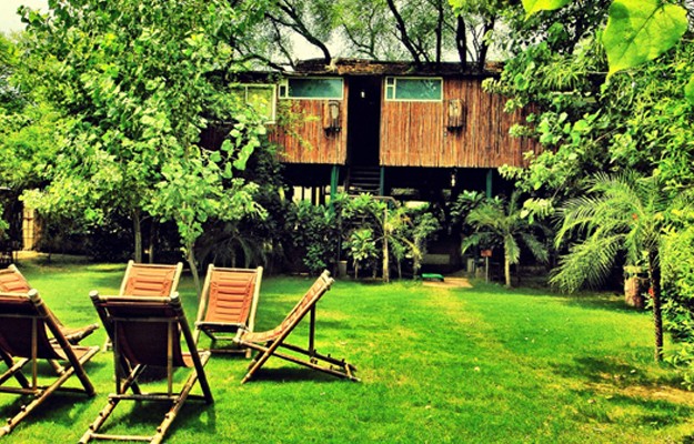Tree House- resorts in Jaipur