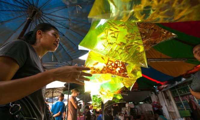 Things to do in Thailand