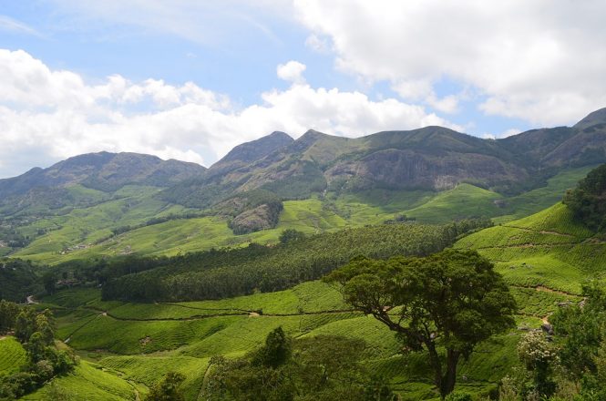 Munnar - Honeymoon Places in South India