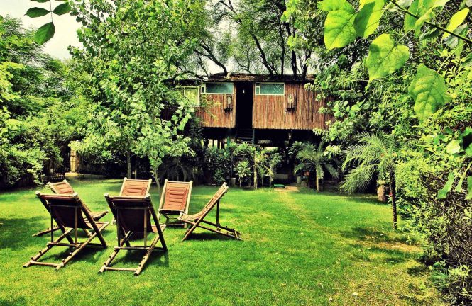 Best Tree Houses in India- The Tree House Resort