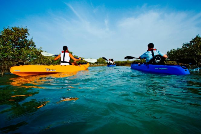The Mangrove National Park - Places to see in Abu Dhabi