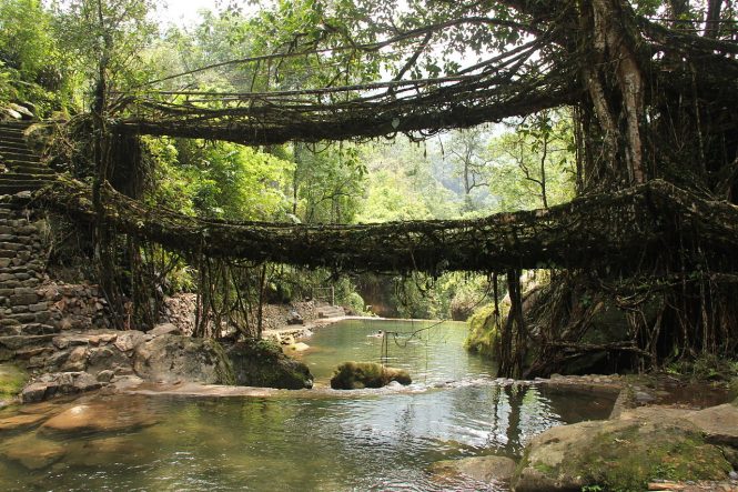Meghalaya- Tourist Places in India