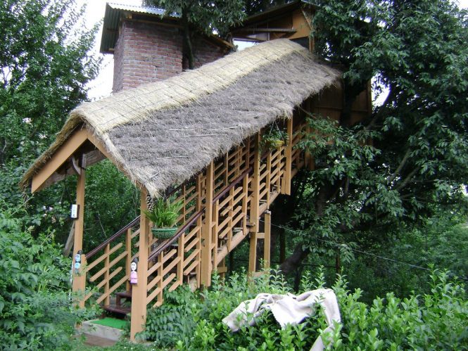 Best Tree Houses in India- Manali Tree Houses Cottage