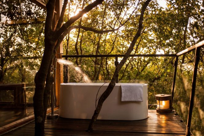 Best Tree Houses in India- The Machan