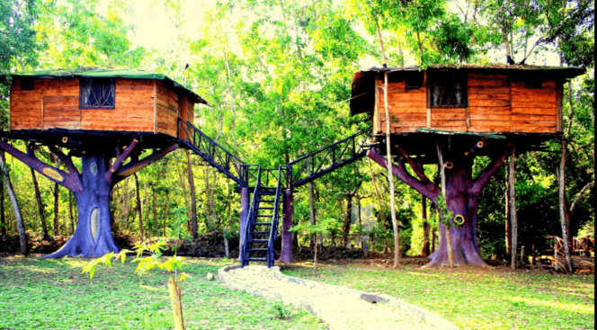 Best Tree Houses in India- Hornbill Tree House