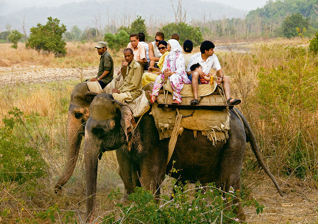 Elephan Safaris- Adventure Activities in Uttarakhand