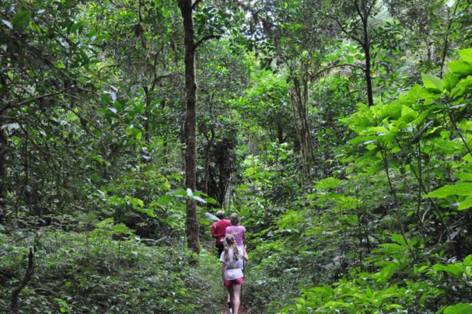 Trekking - Bali Adventure 