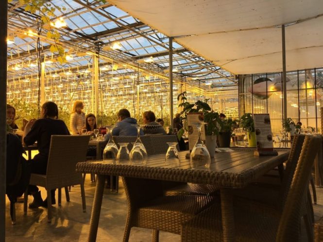 Friðheimar- things to do in Iceland