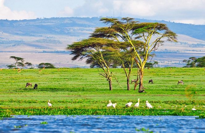 Lake Naivasha - Places to visit in Kenya