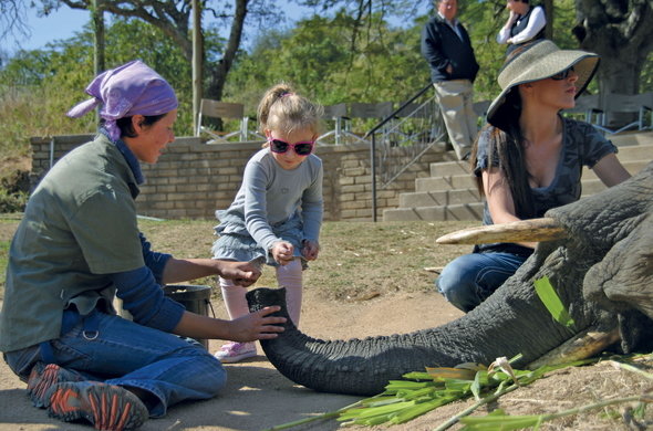 Kruger National Park - Wildlife Safaris in South Africa
