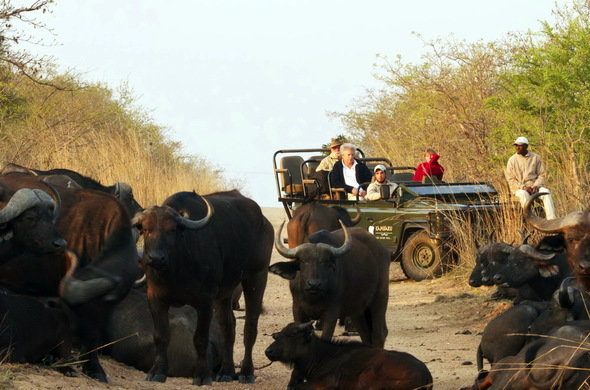Kruger National Park - Wildlife Safaris in South Africa