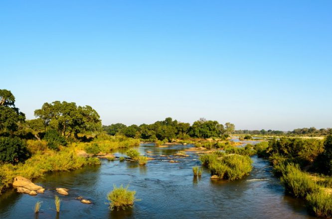 Kruger National Park - Wildlife Safaris in South Africa