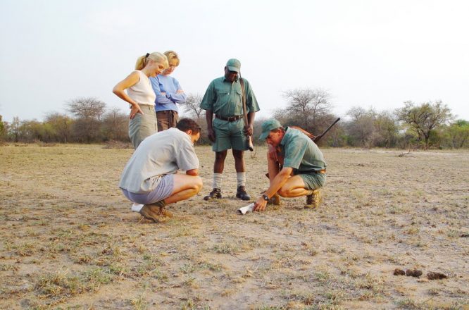 Kruger National Park - Wildlife Safaris in South Africa