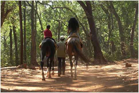 Horse Riding-Places to visit in chail