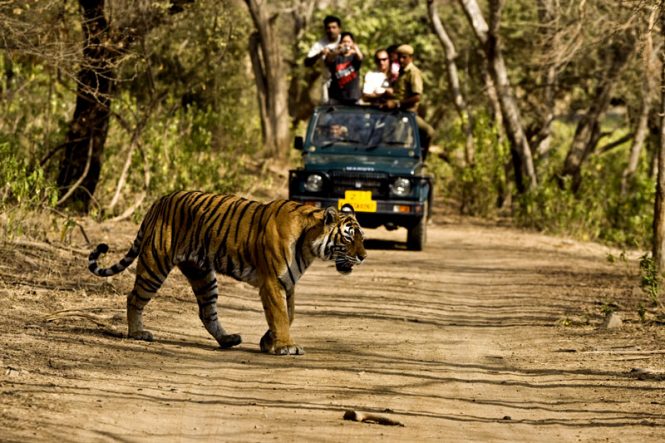 Jim corbett- Tourist places in India