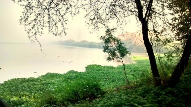 The Okhla Bird Sanctuary- Places to visit in India during Monsoon