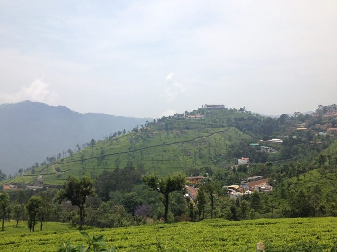 Ooty- Tourist places in India