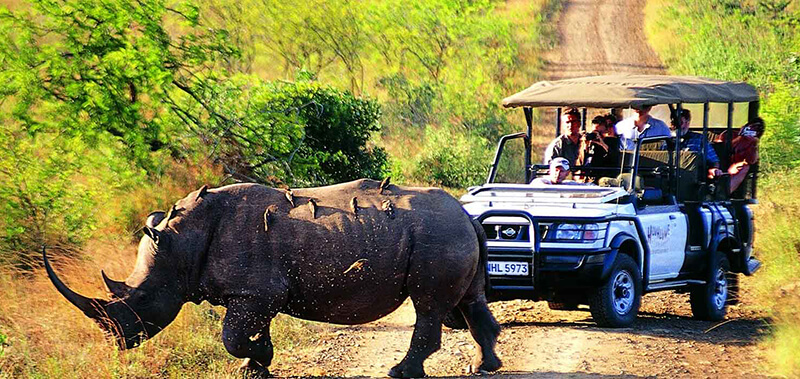 Safari-Kaziranga Tourism 