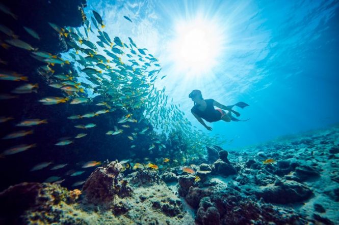 Snorkelling or Scuba Diving-Rameshwaram
