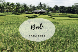 Travelling to Bali Island of the Gods