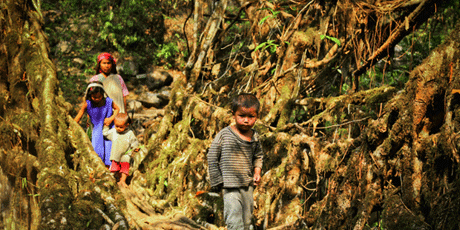 How To Reach-Living Root Bridges How To Reach-Living Root Bridges