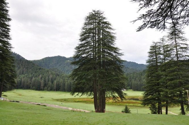 Kailash Villages - Khajjiar