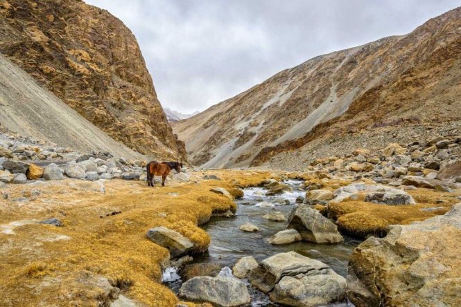  Riding through Ladakh