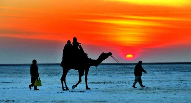 Rann Of Kutch -Luxury experiential travel