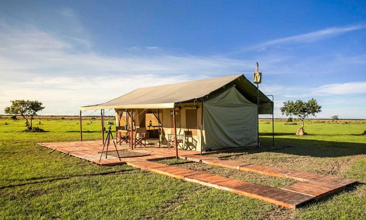 Corocora camp - Colombia